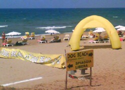 dog-beaches-san-vicenzo.jpg