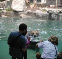 Rome Zoo entrance