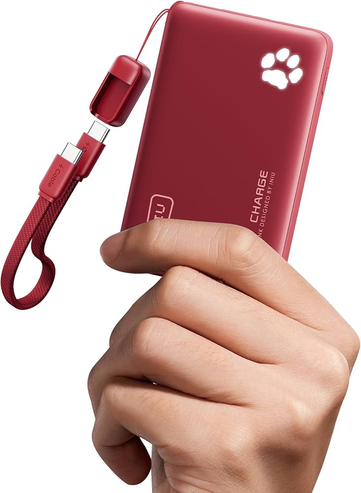 Portable Charger for travelling