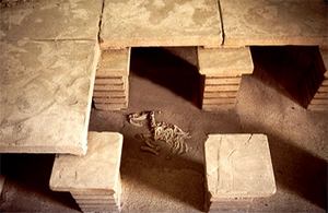 Pompeii hypocaust with dog skeleton