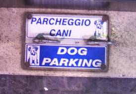 Animals in Italy parking