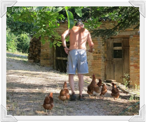 Mike with six of our chickens Mike with six of our chickens