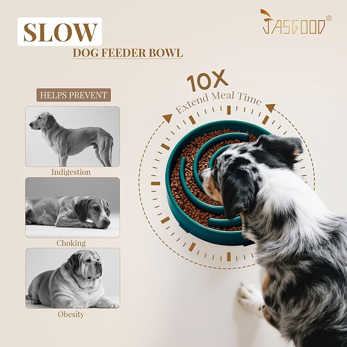 Dog Feeder Bowl