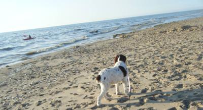 'What's all that blue stuff?