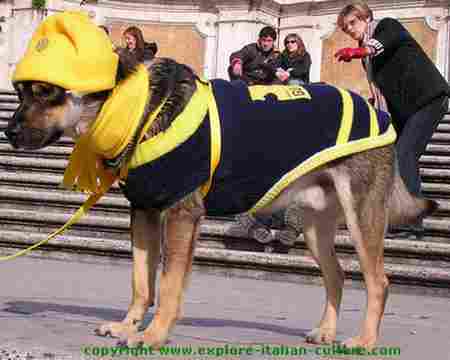 A large dog in a black coat and a yellow hat in Rome