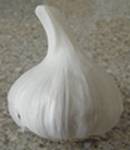 A head of garlic