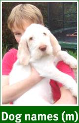 Italian boy dog names with meanings