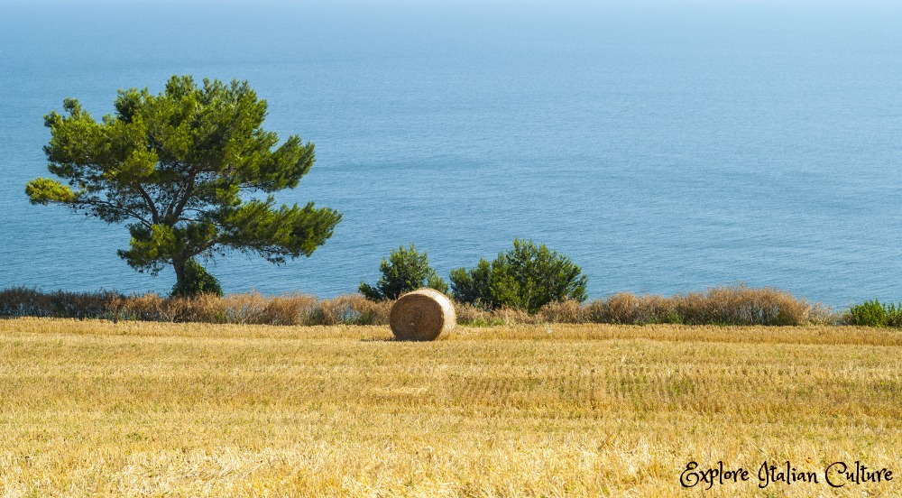 travel department italy adriatic coast