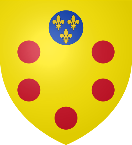 The House of Medici coat of arms