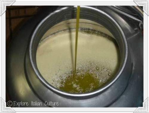 Our freshly pressed olive oil