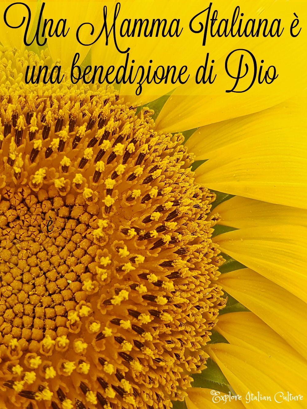 When is Italian Mother's Day? Ideas to celebrate the 'festa della mamma'.