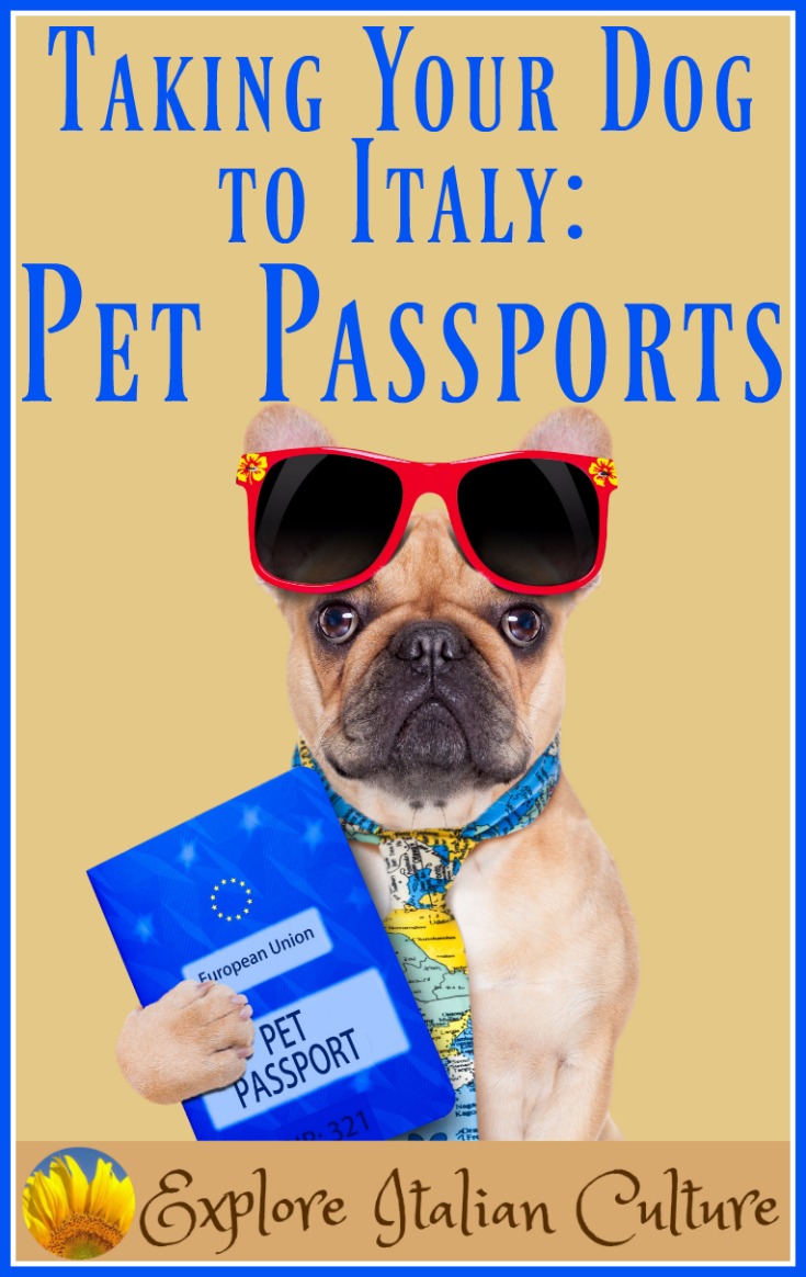 how to get a pet passport for a golden retriever in saint lucia