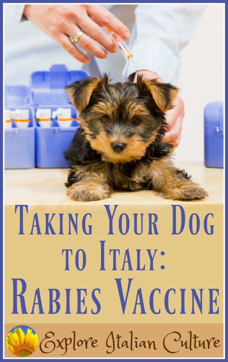 when should a puppy get a rabies shot