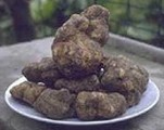 Truffles