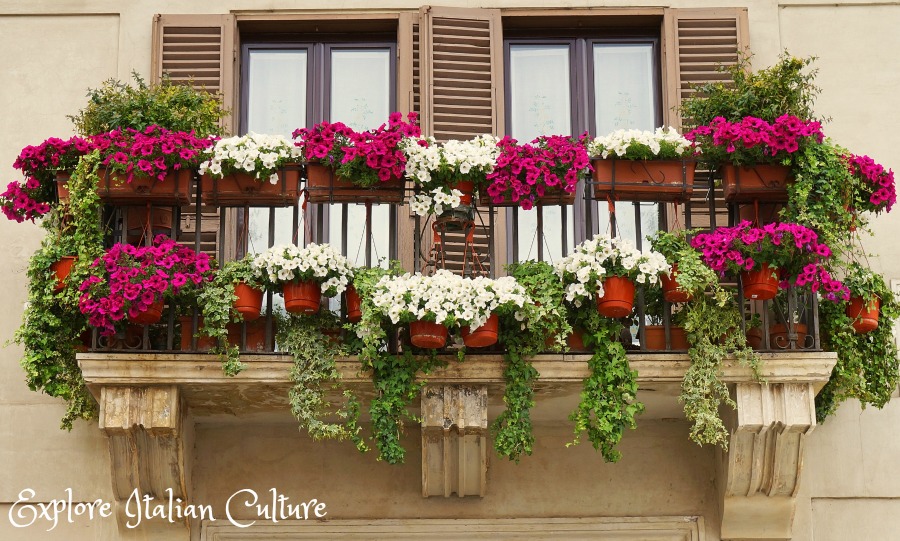 Flowers cascade from a balcony in the Piazza Navona, Rome.