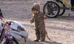 Cheetah child for tier 2 zoo