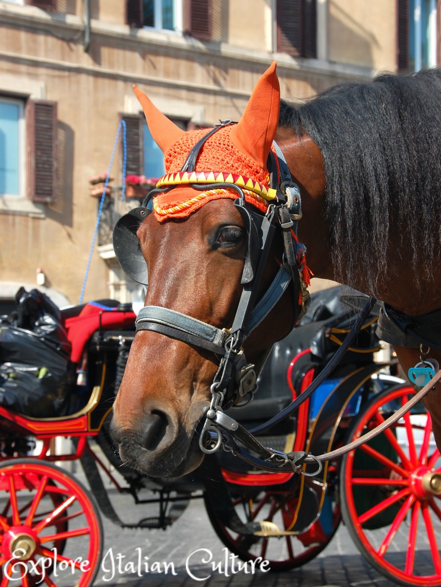 Tourist horses in Rome wearing oranges ear protectors.