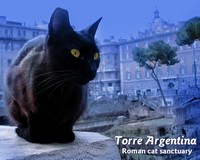 Cats of Rome