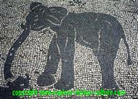Elephant mosaic from Ostia