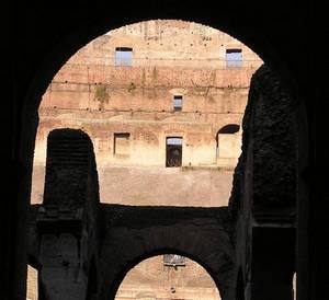 Colosseum of Rome Ancient Roman animals